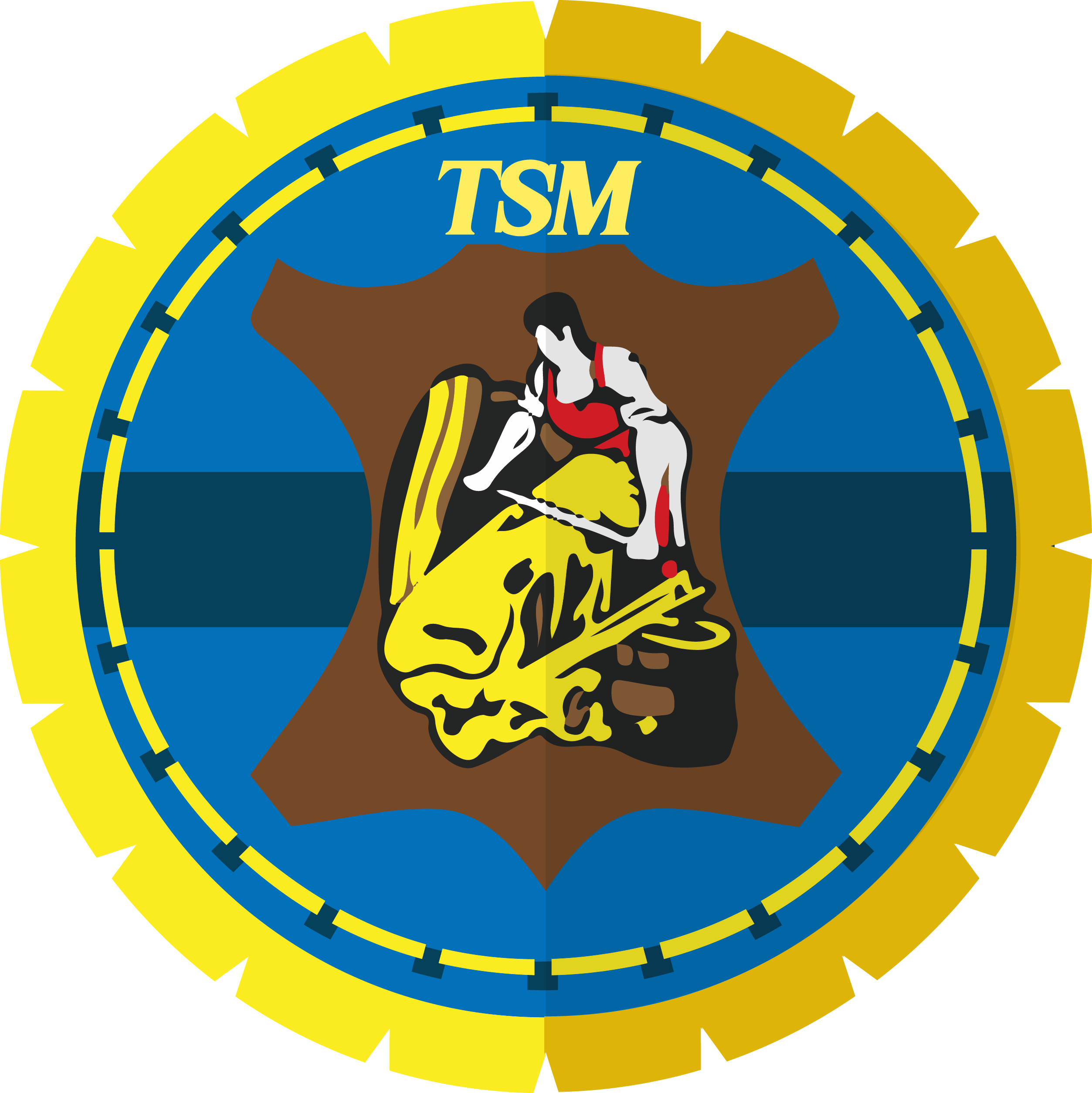 TSM LOGO